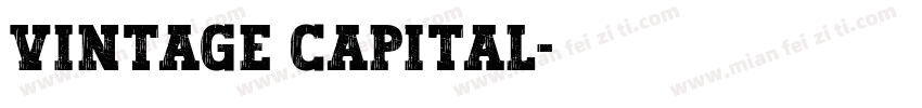 Vintage Capital字体转换